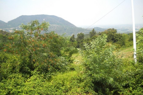 Landejendom i Teolo, Padua, Teolo - € 800.000 | Ref: R114 - foto 13