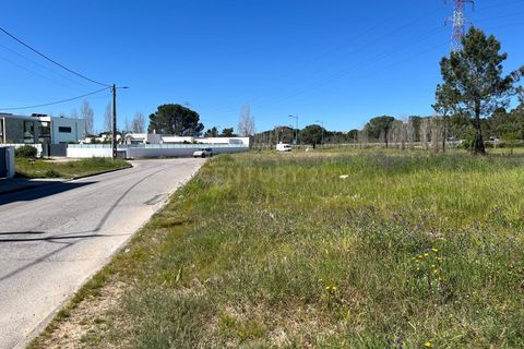 Helårsgrund i Entroncamento, Santarem, Entroncamento - € 77.000 | Ref: C0452-00449 - foto 2