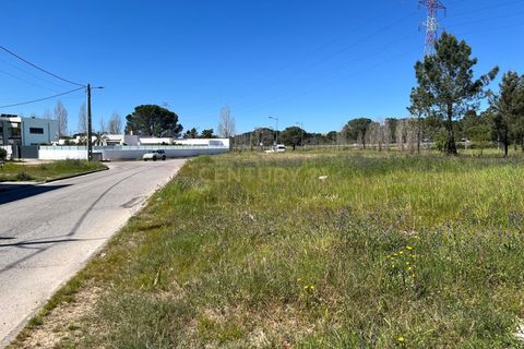 Helårsgrund i Entroncamento, Santarem, Entroncamento - € 77.000 | Ref: C0452-00449 - foto 3