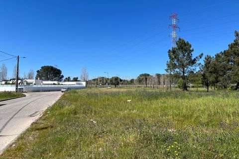 Helårsgrund i Entroncamento, Santarem, Entroncamento - € 77.000 | Ref: C0452-00449 - foto 4