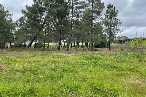 Helårsgrund i Entroncamento, Santarem, Entroncamento - € 77.000 | Ref: C0452-00449 - foto 9