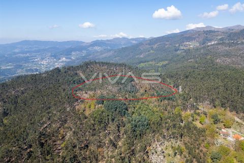 Tomt i Terras de Bouro, Braga, Terras de Bouro - € 77 500 | Ref: 01-3585 - foto 3