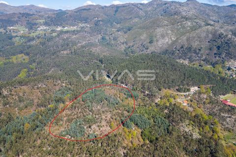Tomt i Terras de Bouro, Braga, Terras de Bouro - € 77 500 | Ref: 01-3585 - foto 4