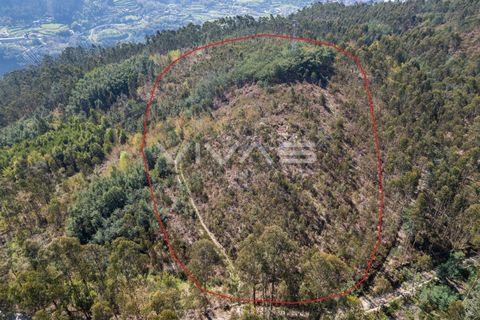 Tomt i Terras de Bouro, Braga, Terras de Bouro - € 77 500 | Ref: 01-3585 - foto 5