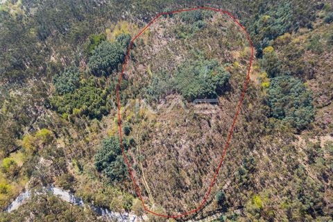Tomt i Terras de Bouro, Braga, Terras de Bouro - € 77 500 | Ref: 01-3585 - foto 6