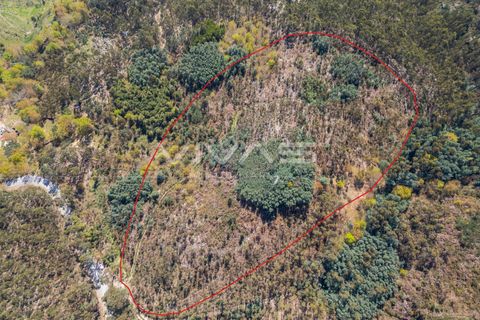 Tomt i Terras de Bouro, Braga, Terras de Bouro - € 77 500 | Ref: 01-3585 - foto 7