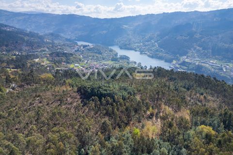 Tomt i Terras de Bouro, Braga, Terras de Bouro - € 77 500 | Ref: 01-3585 - foto 8