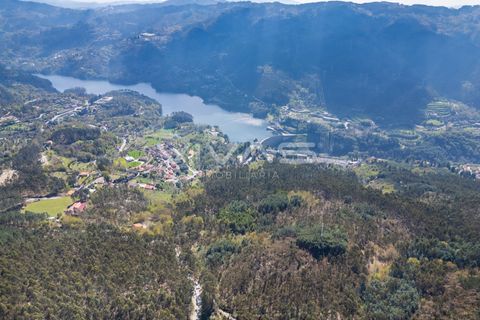 Tomt i Terras de Bouro, Braga, Terras de Bouro - € 77 500 | Ref: 01-3585 - foto 9