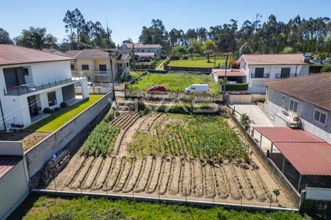 Helårsgrund i Vila Verde, Braga, Vila Verde - € 59.500 | Ref: 01-3594 - foto 8
