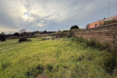 Helårsgrund i Anzio, Rome, Anzio - € 175.000 | Ref: SM680-1 - foto 2