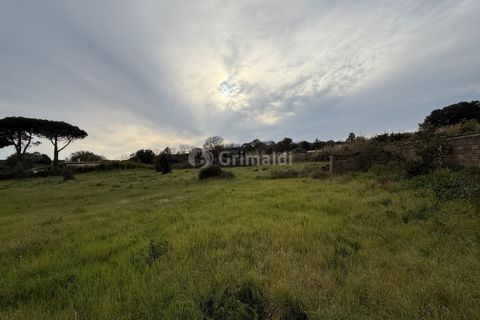 Helårsgrund i Anzio, Rome, Anzio - € 175.000 | Ref: SM680-1 - foto 3