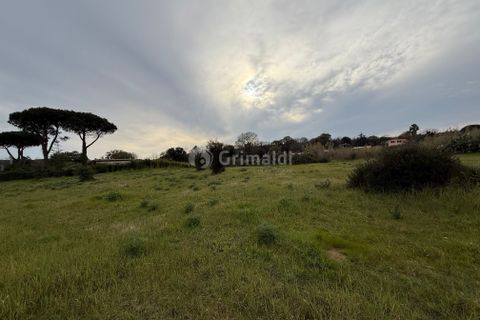 Helårsgrund i Anzio, Rome, Anzio - € 175.000 | Ref: SM680-1 - foto 8