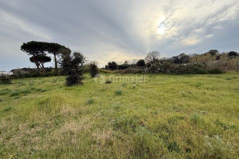 Helårsgrund i Anzio, Rome, Anzio - € 175.000 | Ref: SM680-1 - foto 10