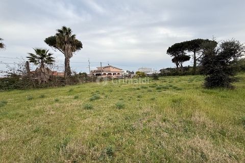 Helårsgrund i Anzio, Rome, Anzio - € 175.000 | Ref: SM680-1 - foto 11