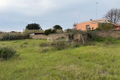 Helårsgrund i Anzio, Rome, Anzio - € 175.000 | Ref: SM680-1 - foto 14