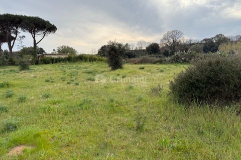 Helårsgrund i Anzio, Rome, Anzio - € 175.000 | Ref: SM680-1 - foto 16