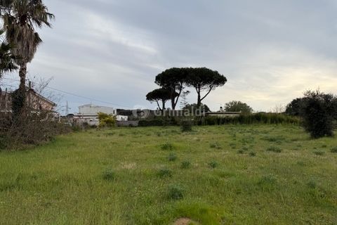 Helårsgrund i Anzio, Rome, Anzio - € 175.000 | Ref: SM680-1 - foto 17
