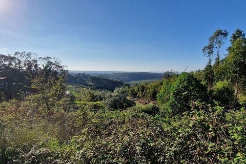 Helårsgrund i Mafra, Lisbon, Mafra - € 498.000 | Ref: 129315 - foto 3