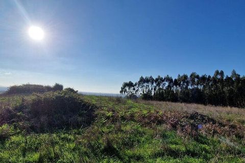 Helårsgrund i Mafra, Lisbon, Mafra - € 498.000 | Ref: 129315 - foto 11