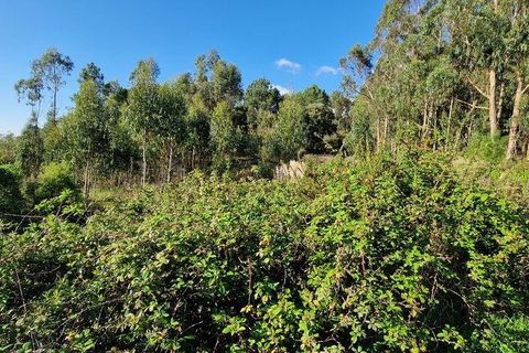 Helårsgrund i Mafra, Lisbon, Mafra - € 498.000 | Ref: 129315 - foto 16