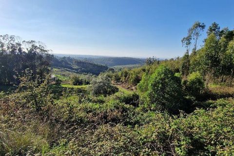 Helårsgrund i Mafra, Lisbon, Mafra - € 498.000 | Ref: 129315 - foto 17