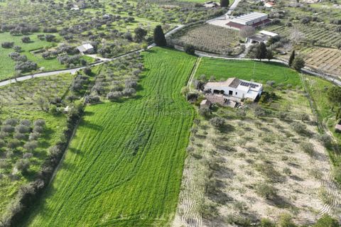 Villa a Giarratana, Ragusa, Giarratana - € 310.000 | Ref: MA 129 - foto 11