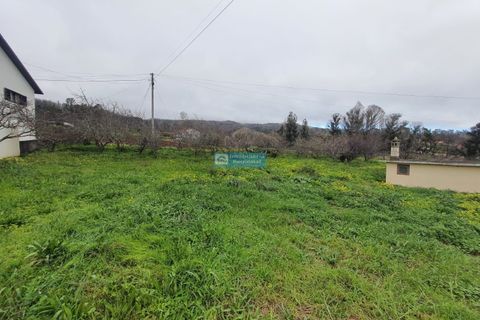 Helårsgrund i Calheta, Madeira, Calheta - € 250.000 | Ref: 1709 - foto 3