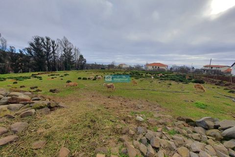 Helårsgrund i Calheta, Madeira, Calheta - € 250.000 | Ref: 1709 - foto 6
