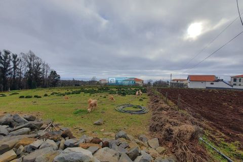 Helårsgrund i Calheta, Madeira, Calheta - € 250.000 | Ref: 1709 - foto 7