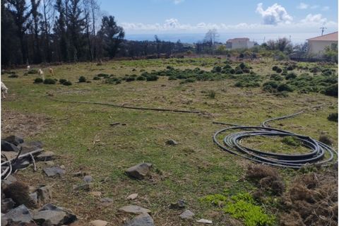 Helårsgrund i Calheta, Madeira, Calheta - € 250.000 | Ref: 1709 - foto 8