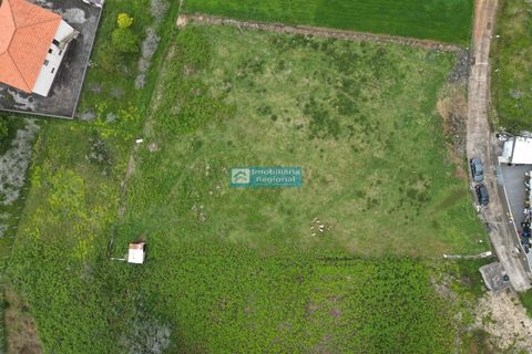 Helårsgrund i Calheta, Madeira, Calheta - € 250.000 | Ref: 1709 - foto 4