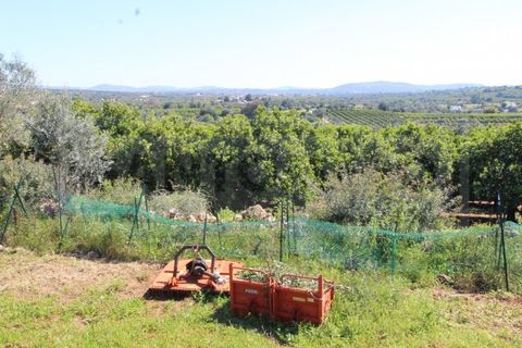 Træhytte i Algoz, Faro, Algoz - € 330.000 | Ref: STC2605 - foto 17
