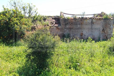 Træhytte i Algoz, Faro, Algoz - € 330.000 | Ref: STC2605 - foto 21