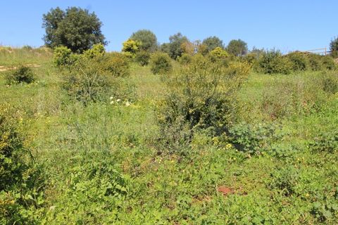 Træhytte i Algoz, Faro, Algoz - € 330.000 | Ref: STC2605 - foto 28