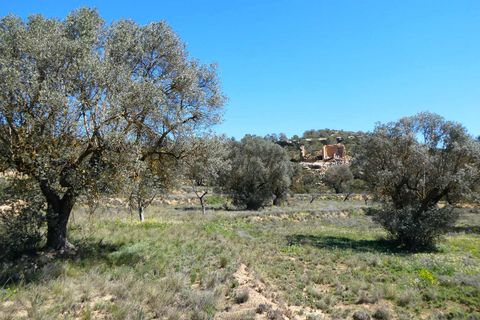 Finca i Fabara, Zaragoza, Fabara - € 9.500 | Ref: 1053 - foto 4