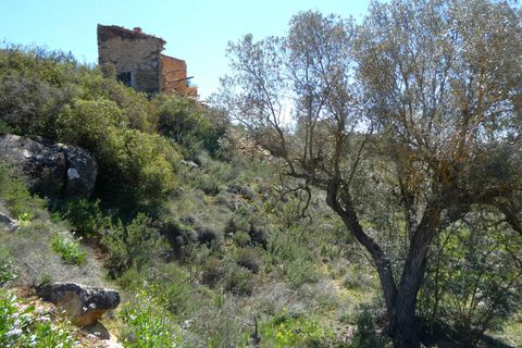 Finca i Fabara, Zaragoza, Fabara - € 9.500 | Ref: 1053 - foto 8