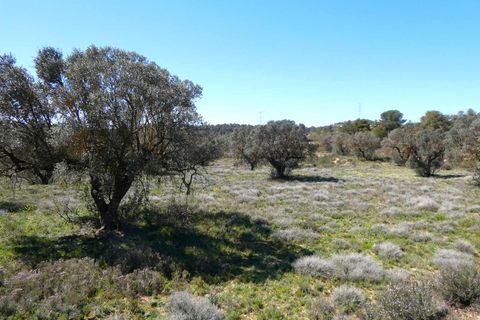 Finca i Fabara, Zaragoza, Fabara - € 9.500 | Ref: 1053 - foto 9