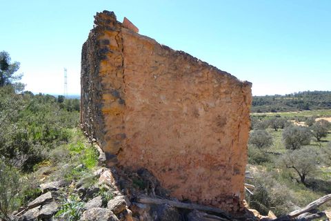 Finca i Fabara, Zaragoza, Fabara - € 9.500 | Ref: 1053 - foto 13