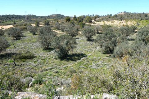 Finca i Fabara, Zaragoza, Fabara - € 9.500 | Ref: 1053 - foto 12