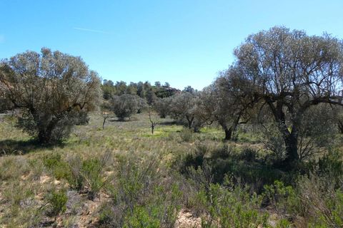 Finca i Fabara, Zaragoza, Fabara - € 9.500 | Ref: 1053 - foto 16