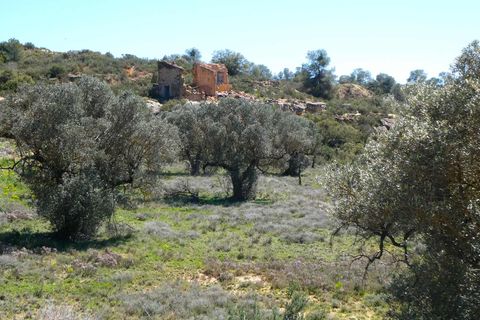 Finca i Fabara, Zaragoza, Fabara - € 9.500 | Ref: 1053 - foto 14
