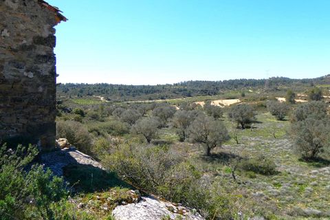 Finca i Fabara, Zaragoza, Fabara - € 9.500 | Ref: 1053 - foto 11