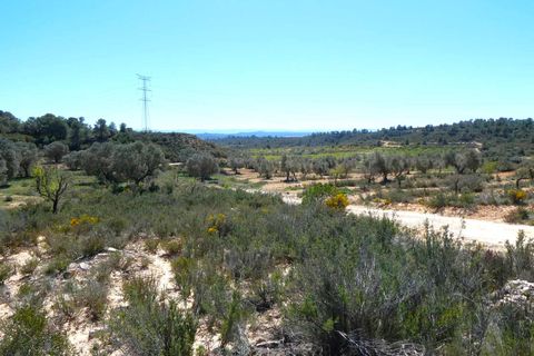 Finca i Fabara, Zaragoza, Fabara - € 9.500 | Ref: 1053 - foto 2