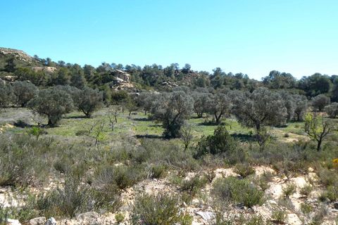 Finca i Fabara, Zaragoza, Fabara - € 9.500 | Ref: 1053 - foto 3