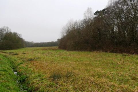 Landejendom i Gueltas, Morbihan, Gueltas - € 367.000 | Ref: 56075-2336 - foto 30