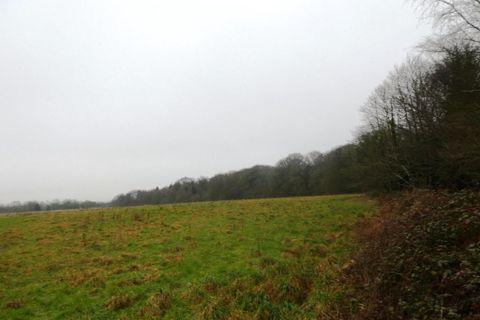 Landejendom i Gueltas, Morbihan, Gueltas - € 367.000 | Ref: 56075-2336 - foto 31