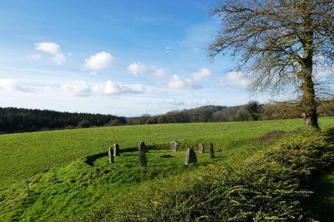 Villa a Langoelan, Morbihan, Langoelan - € 367.000 | Ref: 56075-2346 - foto 25