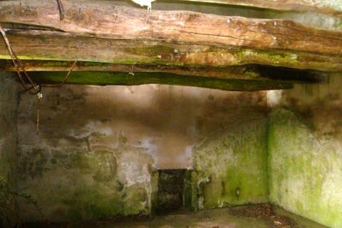 Villa a Ploerdut, Morbihan, Ploerdut - € 49.550 | Ref: 56075-2002 - foto 3