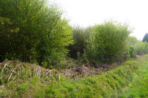 Villa a Ploerdut, Morbihan, Ploerdut - € 49.550 | Ref: 56075-2002 - foto 4
