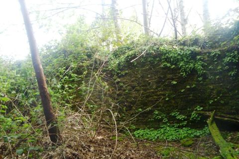 Villa a Ploerdut, Morbihan, Ploerdut - € 49.550 | Ref: 56075-2002 - foto 13